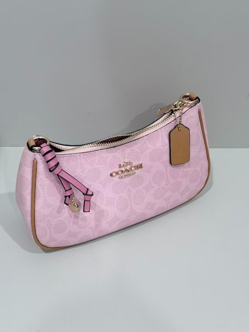 Coach Mini Hobo Shoulder Bag